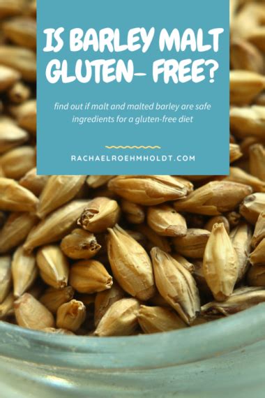 is barley malt extract gluten free